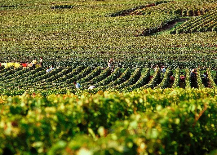 Greet Tinqueux Hotell