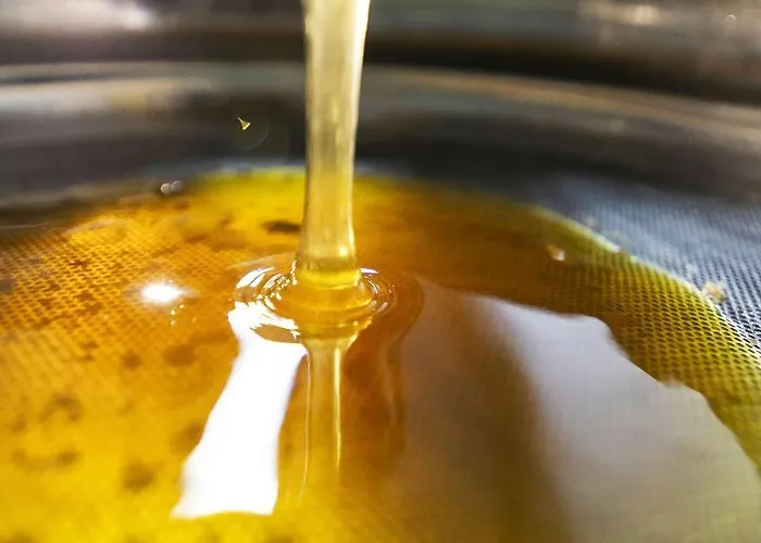 Greet Tinqueux Reims